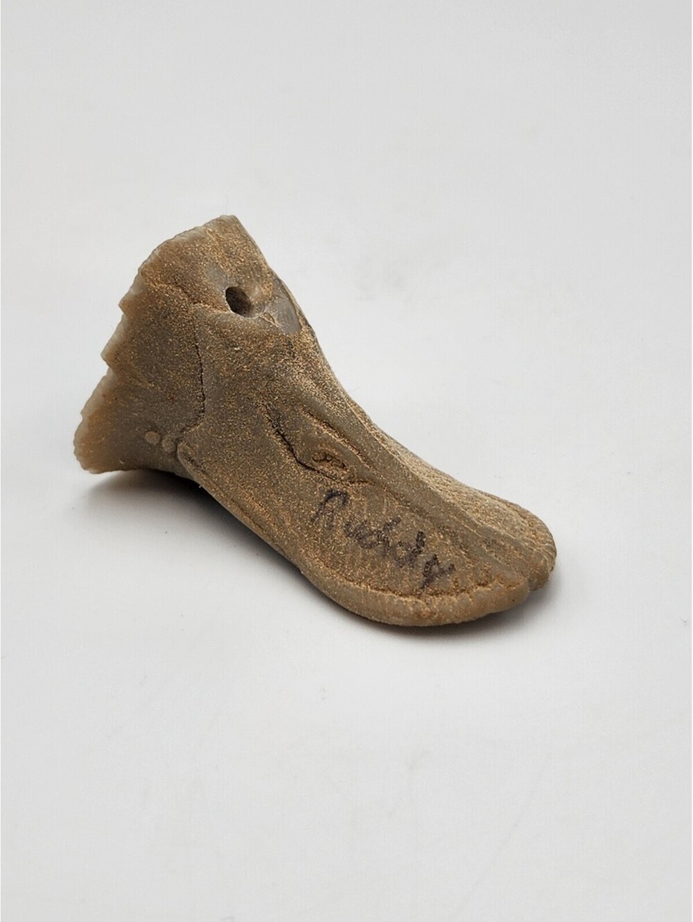 Ruddy duck decoy decoys study bill RESIN for Carving & Taxidermy - F4
